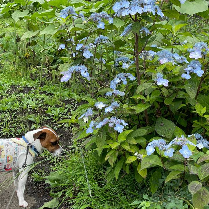 8d884e0f cf85 4c7b bdde 2836128e8a0f 1625463113098