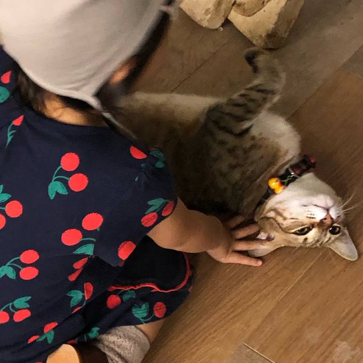 8d885f46 a26a 416b a256 5738b8976010 1601799230964