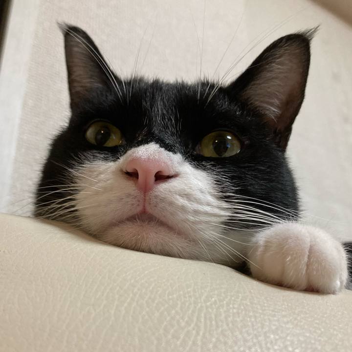 8d887995 fc50 4c68 b03e e8a0afdcc6d8 1630816258434