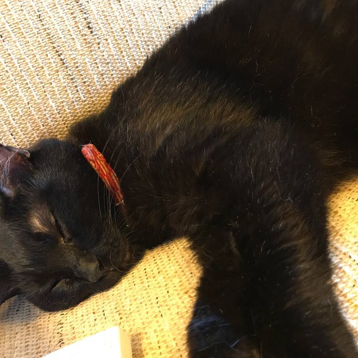 8d88b94c 852d 4b0e a9c2 57fcddde21e2 1533189956036