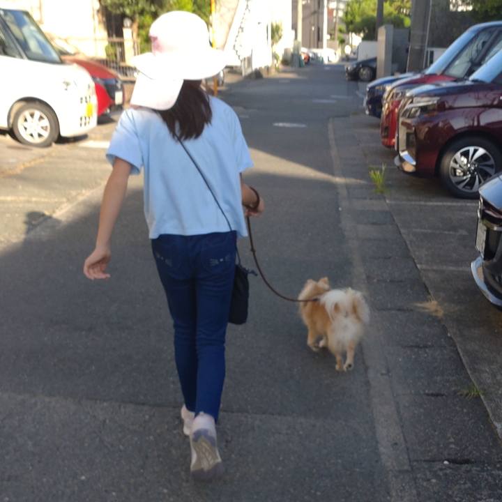 8d88c01d 0e8c 440e 8b94 2e7e0b1ae3cd 1753657267283