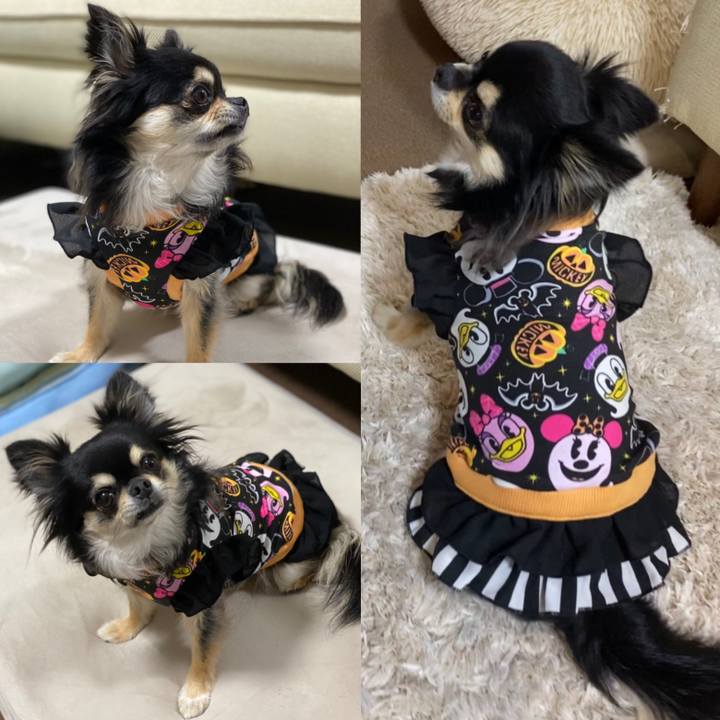 8d88c60a 0892 4901 ae43 3b7e14a93576 1631531134347