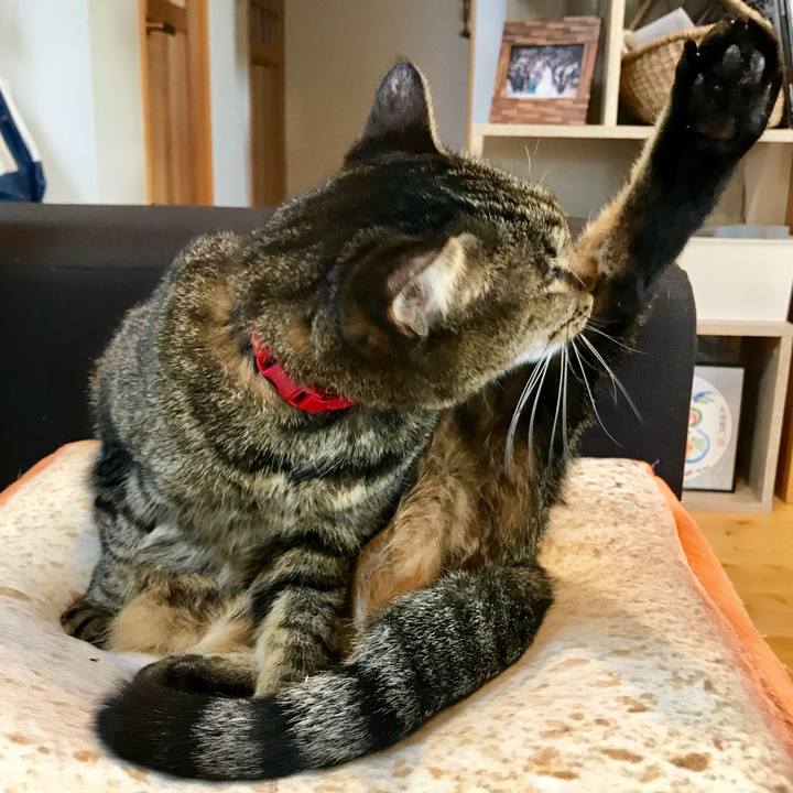 8d88c752 ca18 4d39 9a8b 65ea24293022 1548847818429