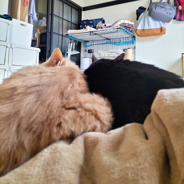 8d88d865 0ff1 4d8f af68 dd55fb2d7a50 1665277161278