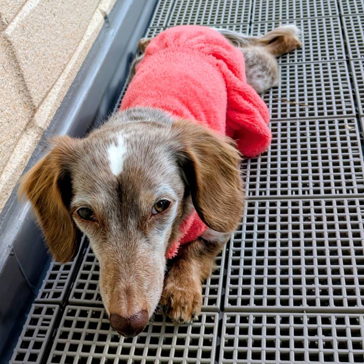 8d88f9f3 d3b4 47fc 8cef d8867223ade1 1768017295623