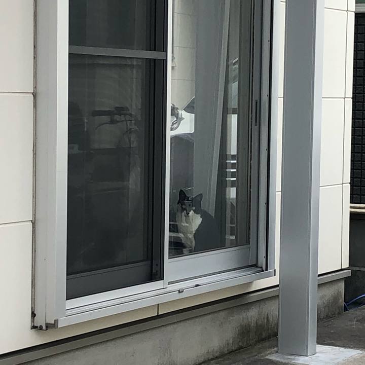 8d88fce5 000b 4a2c bf04 6bef0c2d8ef6 1626244419566