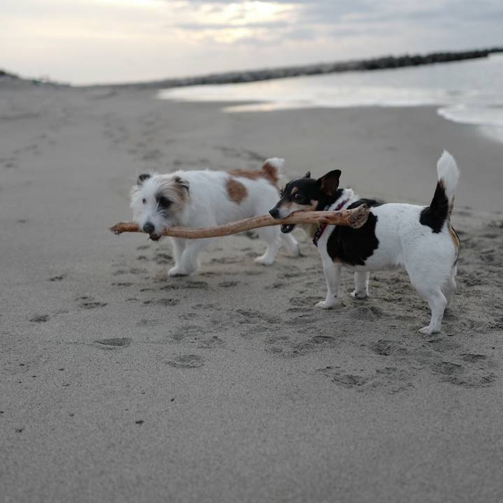 8d892bde 7d62 4d38 abc5 33ac8d9ed669 1518846582022