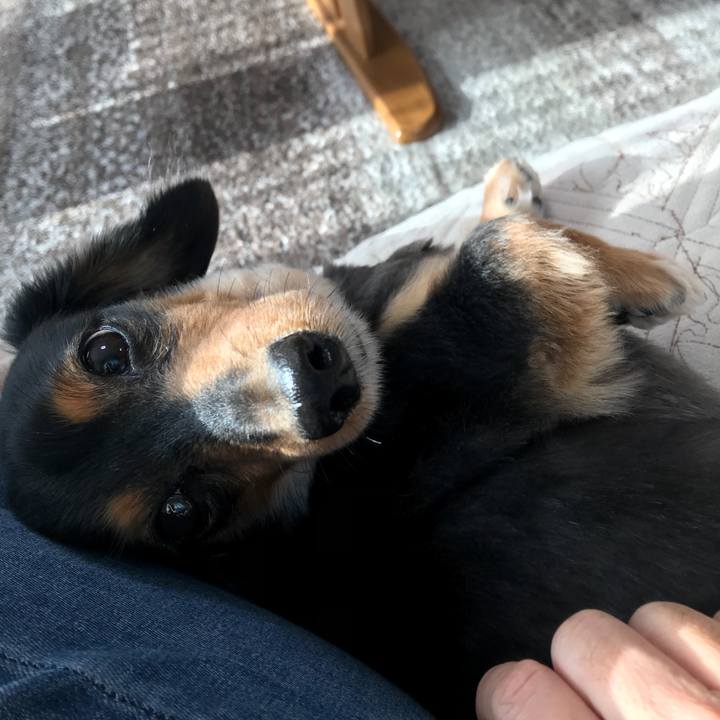 8d893b52 8335 408e aff0 cd8564162254 1509145187114