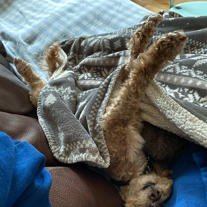 8d896f4a 2a0c 4eaa b9a2 b880f60c981c 1631978325124