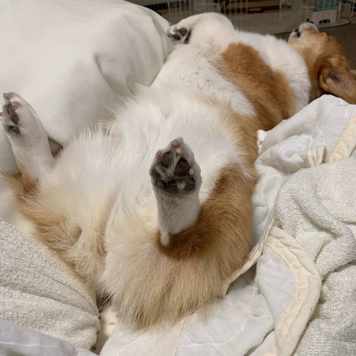 8d8985b7 f3d4 4171 84e9 b41d6b913cc1 1613797522503