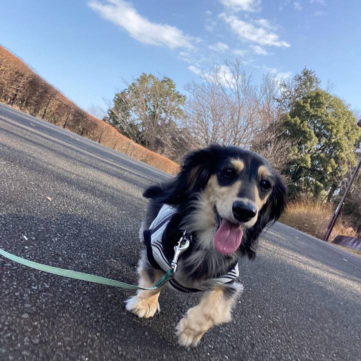 8d89a016 dd66 4a11 896d a02938dabf2d 1771811181068