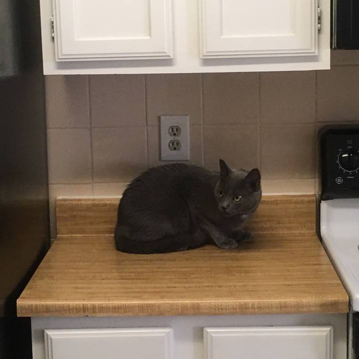 8d89a2b4 8c9b 4990 9448 c6f457bae380 1633872756344