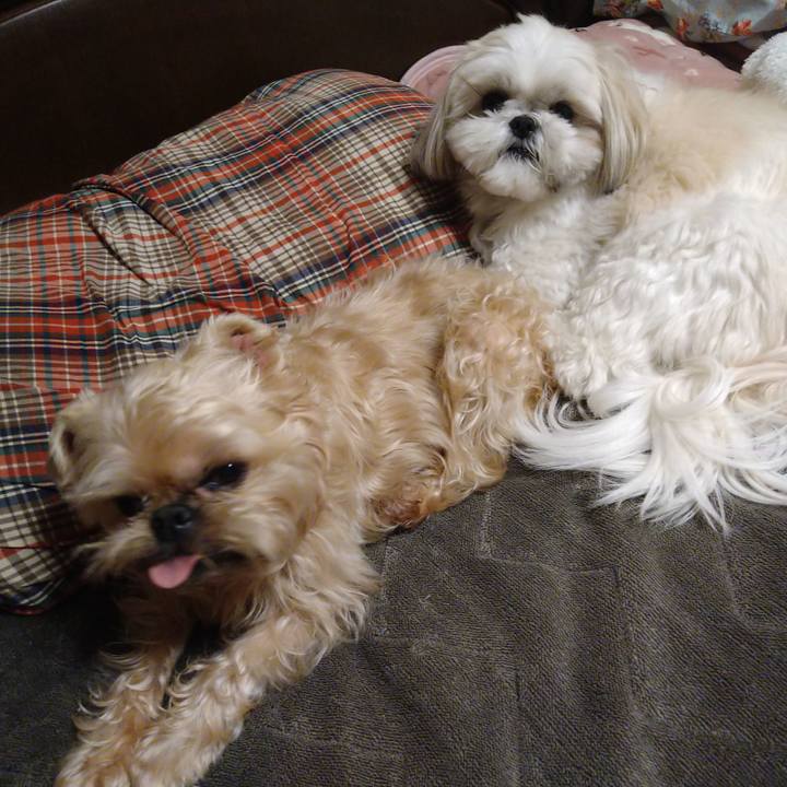 8d89a2da 3080 4da9 9d18 27f32b25a0fb 1643209400048