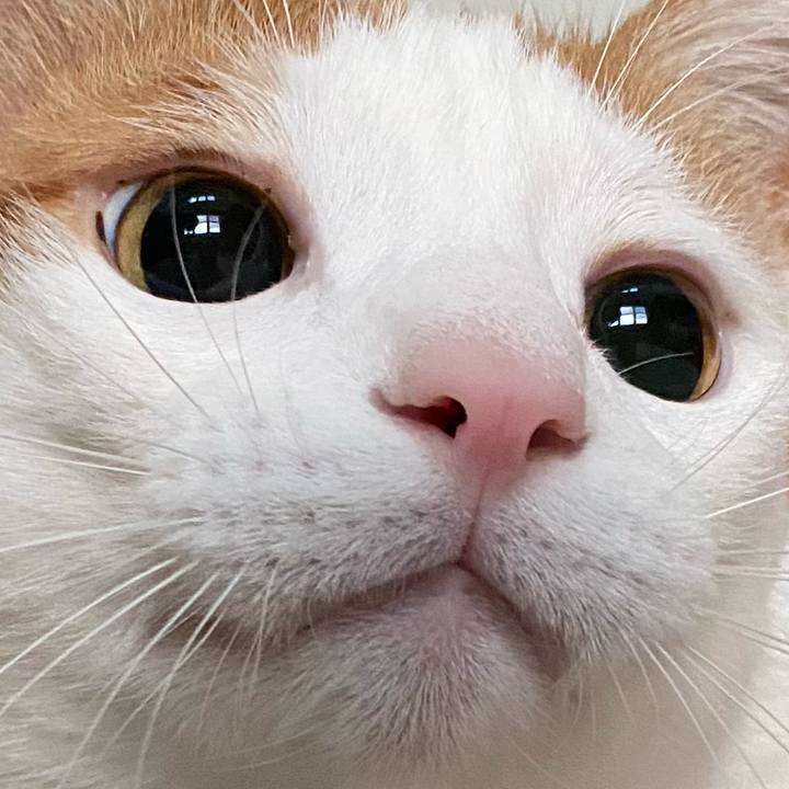 8d89d748 59e5 4964 ab0d f04245a66ab3 1611963294849