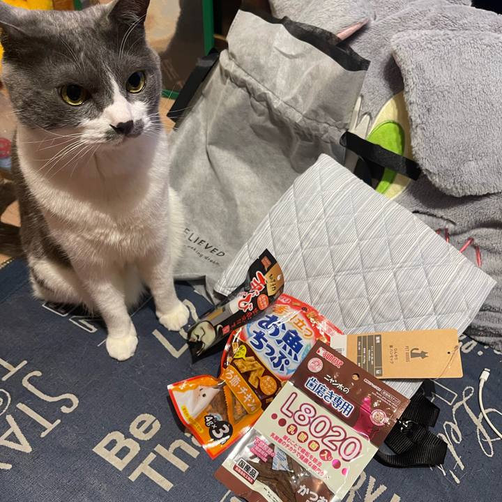 8d89df2f 017b 4aa7 9234 fd1cc5630976 1747999951688