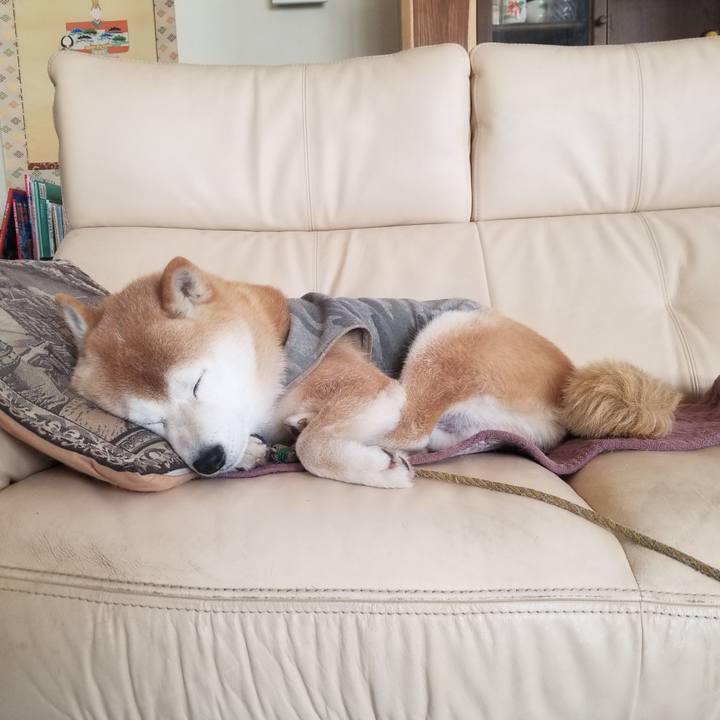 8d89e231 61fb 4c6a 8440 24fe42068427 1677631959246