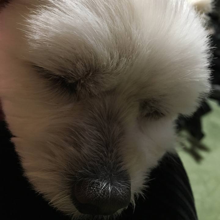 8d89ef06 9d37 4a78 a6db bc86621ffe8d 1542104520478