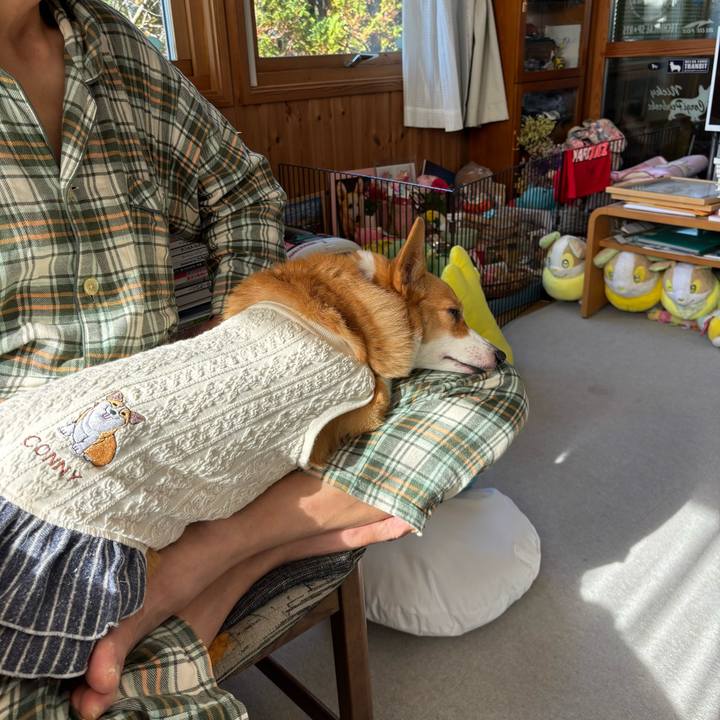 8d8a103e f2fa 442c ba64 1abced390a69 1763778175325