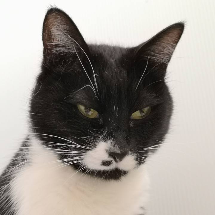 8d8a1a41 553f 4631 8d57 c7a70208d7ad 1552233901675