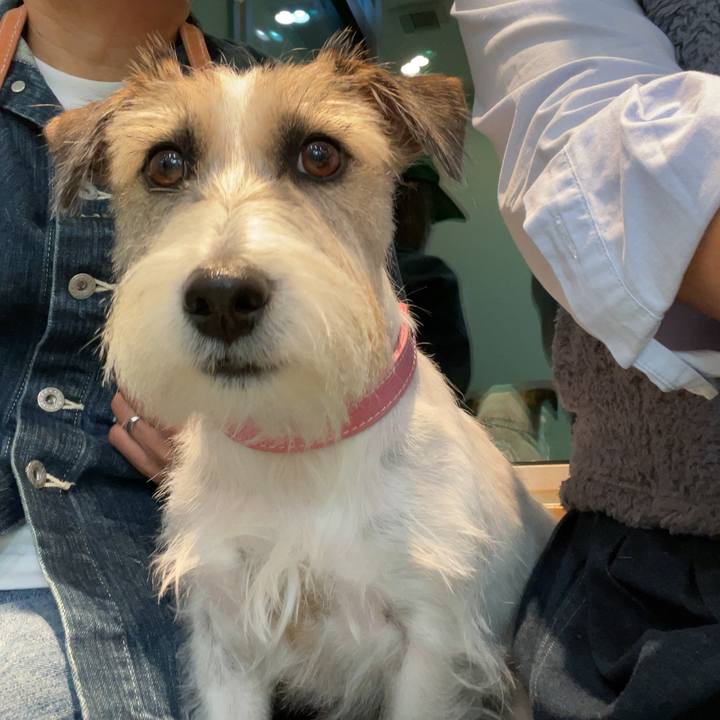 8d8a4672 6532 4db6 b941 20767c2b3f3d 1667038065702