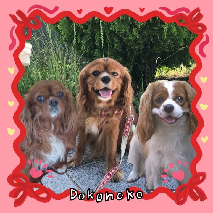 8d8a56d3 0591 46c6 98f2 c011d4974ad2 1706919832084