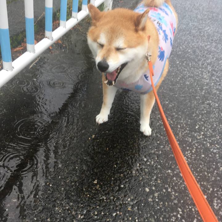 8d8a5d65 0e20 48f3 ac6a e2b479e47f72 1592790622409