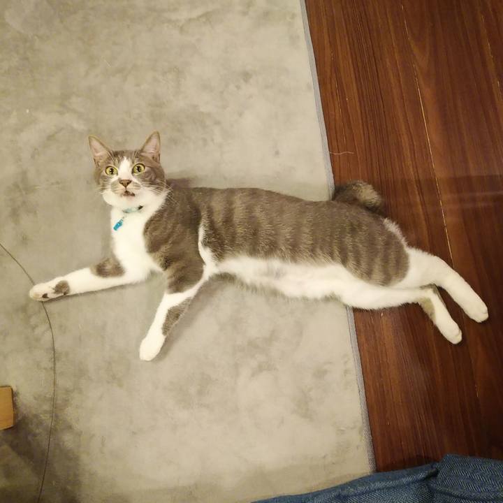 8d8a9749 0e90 4b4d bb88 a9eae4973819 1590760718666