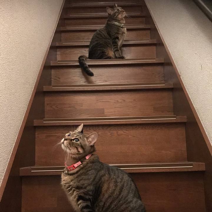 8d8aaec5 4ce1 4d3f 93e9 a494c67dfb71 1601990450406