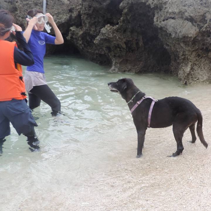 8d8ac100 8997 4805 b631 a831ee59ccf2 1541160399998