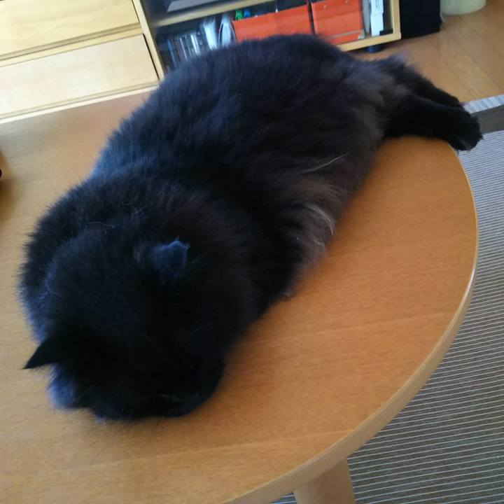 8d8ac823 e277 4578 a43b 1d88c2b602c8 1530401972296