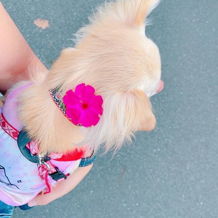 8d8aecfb 431f 429e 8910 0240e65f7326 1626167524950