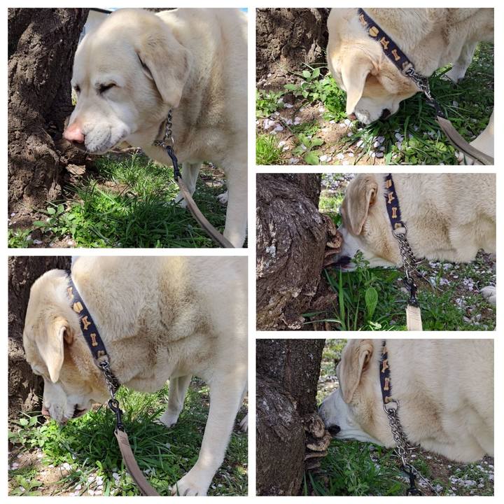 8d8b3f43 cc15 49c9 8fc9 03e7ffb9c193 1744193619603