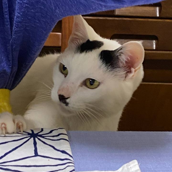 8d8b46ad 2a35 4088 bf83 f427fe478f3c 1616762699203