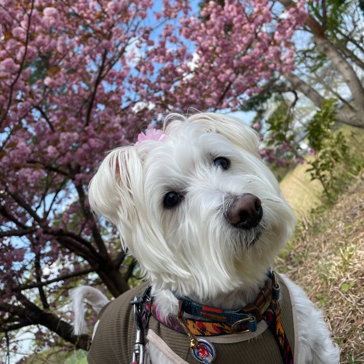 8d8b49ac 9993 44dc 9e01 c790a424013f 1699701130609