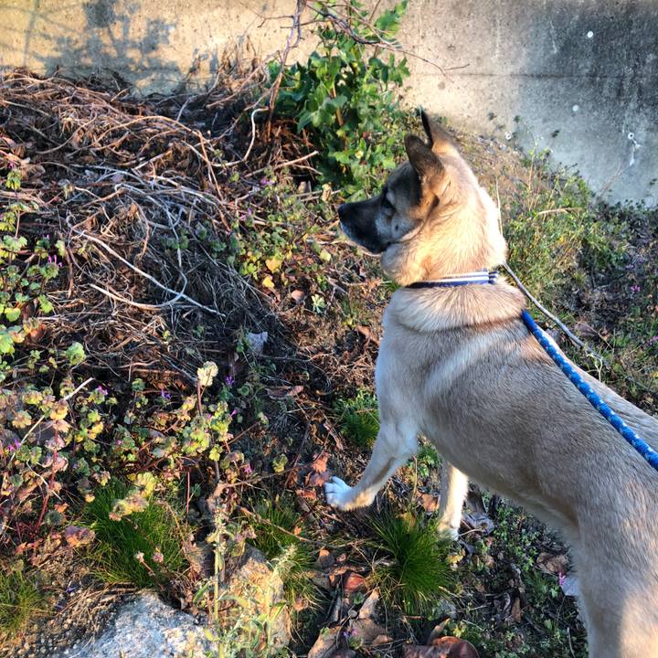 8d8b4e6d 2a3e 4e0c 8731 8f3154f46eb0 1582293203511