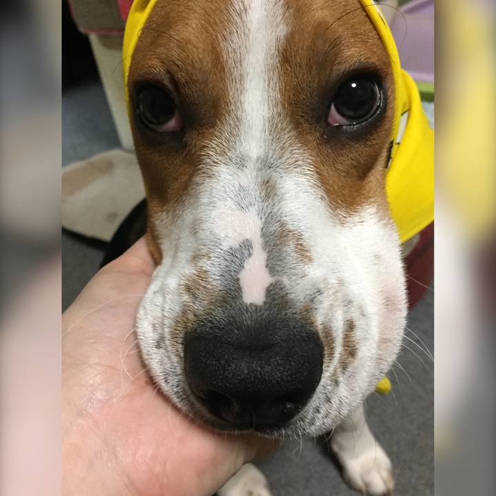 8d8b4f56 260e 4290 9326 051a701a0e6b 1528208652763