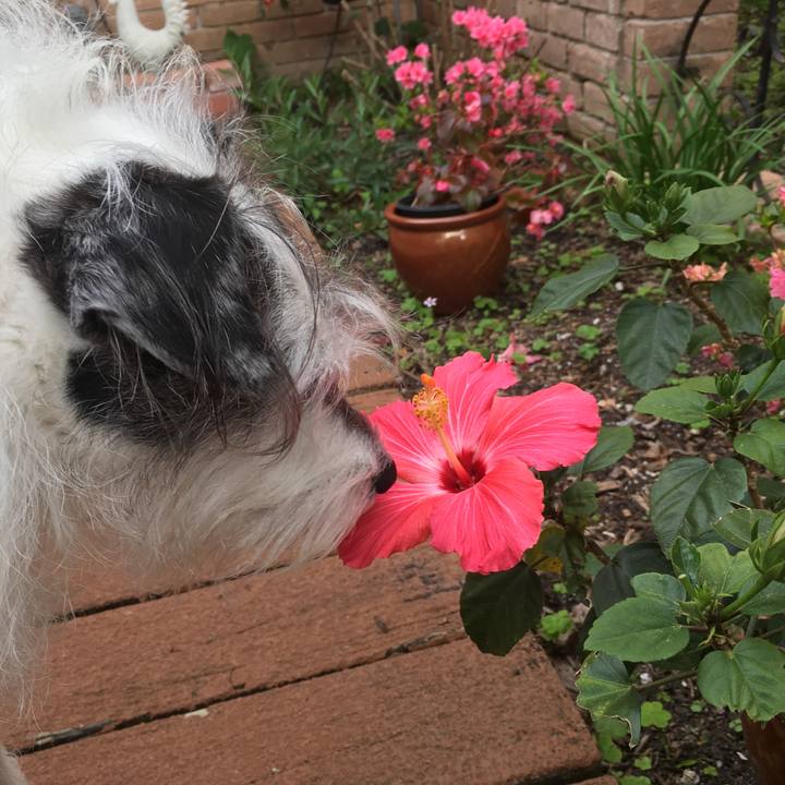 8d8b6171 d7f2 467a badd 15b8ad497768 1521498877857