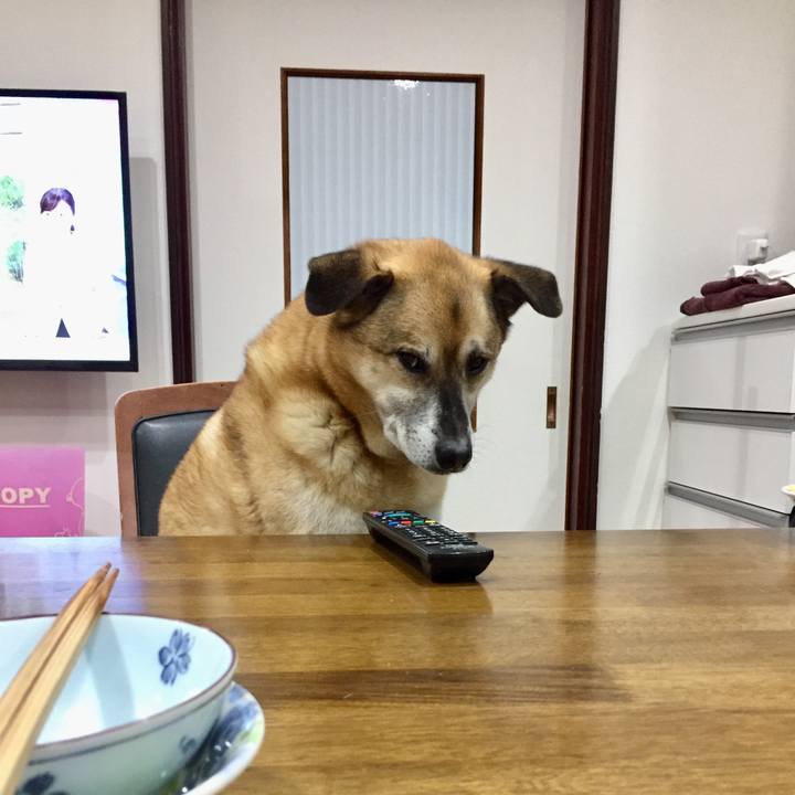 8d8b72f7 18c9 42a9 87a7 ddb81e9bf5ed 1586341840232