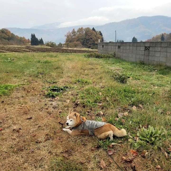 8d8bb0a0 711e 4fef bd31 cbd3817910c1 1732249362797