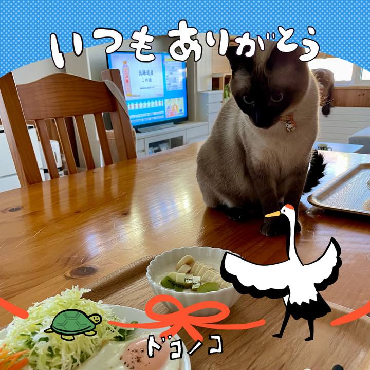 8d8bc628 3fff 42bb 8bc2 ebb99377b026 1727044814778