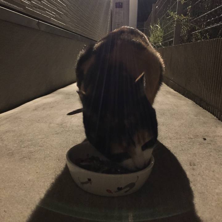 8d8bd895 df73 4b83 80ba 1413e667759e 1511524616896