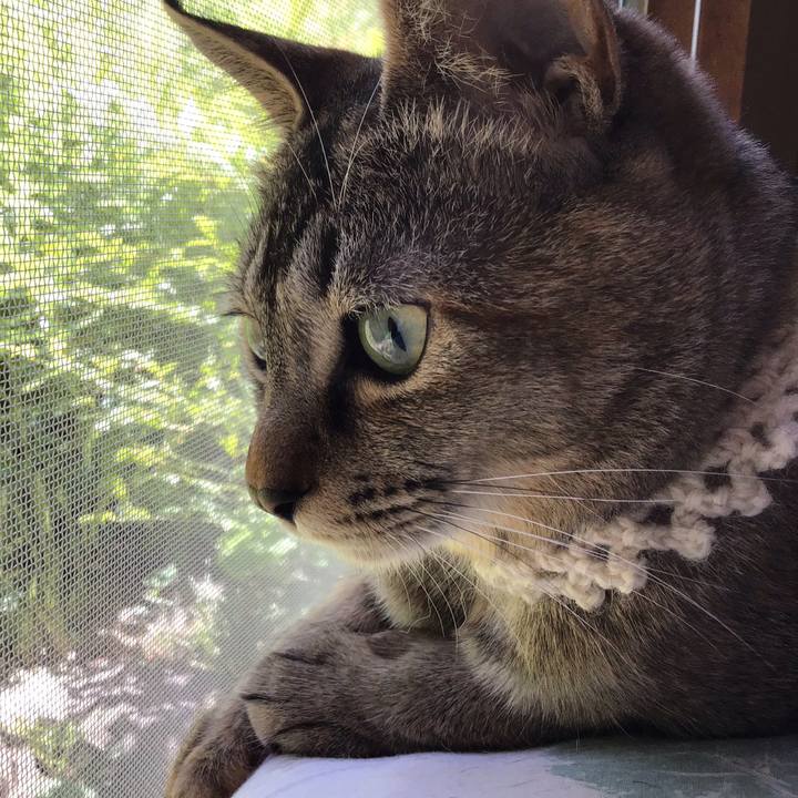 8d8bf666 a394 4006 90e2 a3e573c0e961 1589684969592