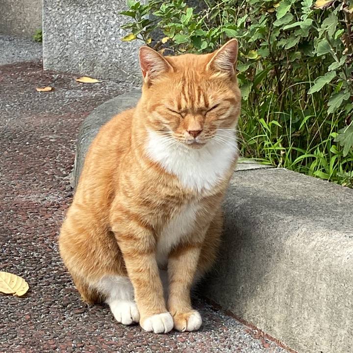 8d8c4bc6 6e90 4ab0 9074 906af78fd3bf 1666510132482