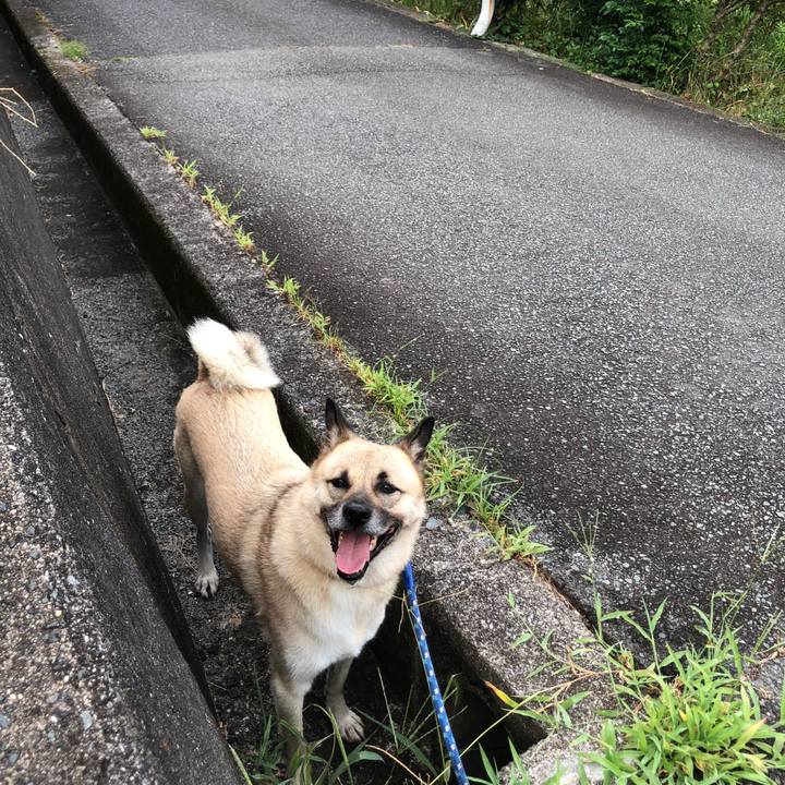 8d8c4f80 8f0c 4ab3 8422 81036437b1e1 1598882472874