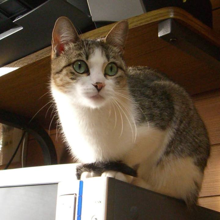 8d8c5634 c8fa 4ffe 88a7 a57c22a7cf81 1763505692084