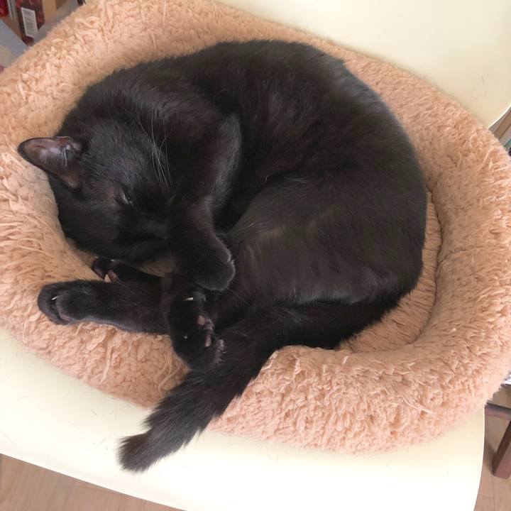 8d8c6438 15df 4bce 9842 9625135b472b 1588482404480