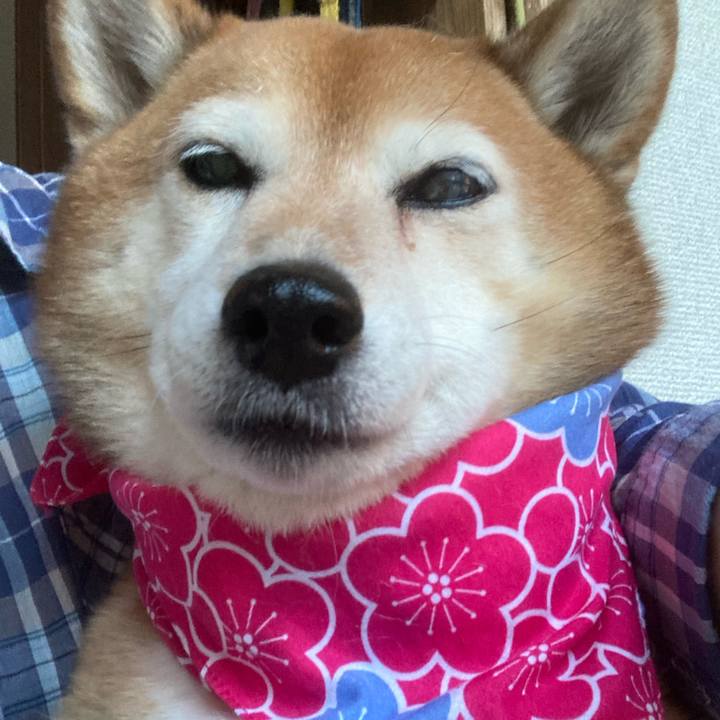 8d8c8f37 d45f 45ff 9b3f 9d3c925e4493 1656406939118