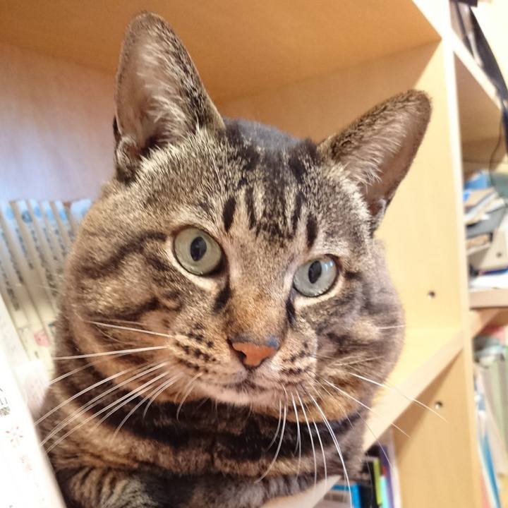 8d8cd948 5b93 4a9d a6b7 173826bd1010 1534405720059