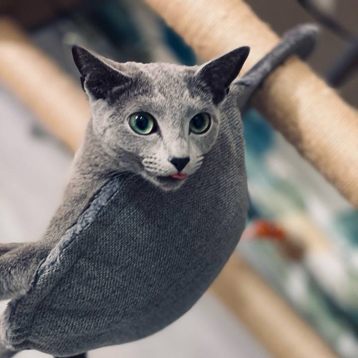 8d8d21dd 6bfd 4581 8a80 67c5b295792d 1620525383999