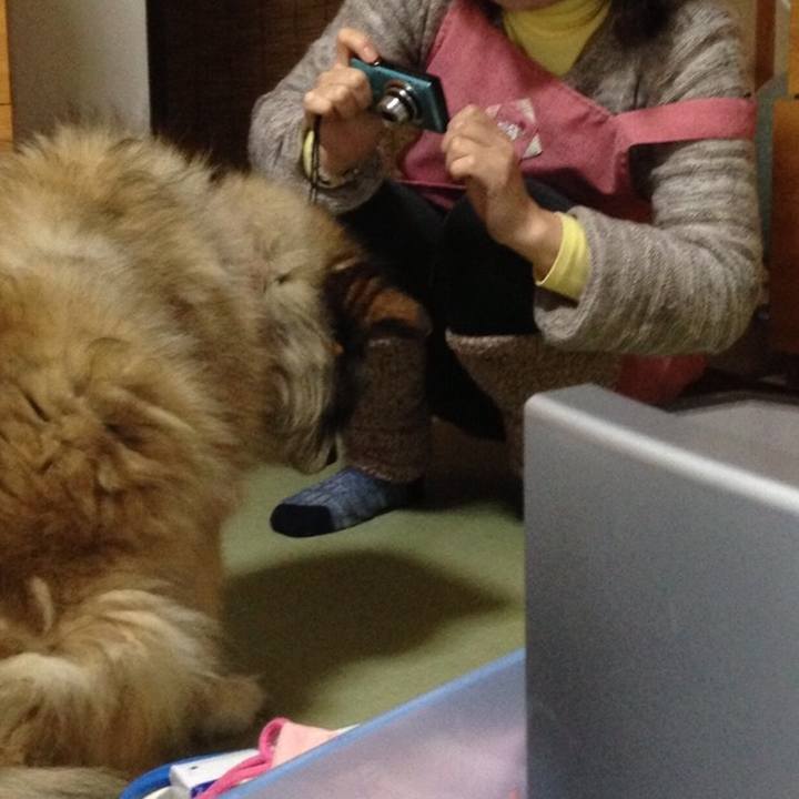 8d8d2f11 2034 4859 bbab 58f17f39e0b5 1551484148340